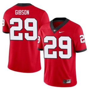 #29 Player UGA Isaiah Gibson Mens Red Jersey 908217-199